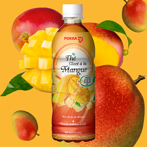 POKKA, collection de thés glacés Livraison en France TIKIOSK